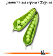 семена, горох, сорт, голландский, Карина, Нунемс, Nunhems