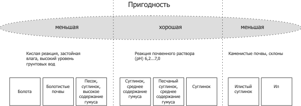Пригодность почв для возделывания ярового рапса